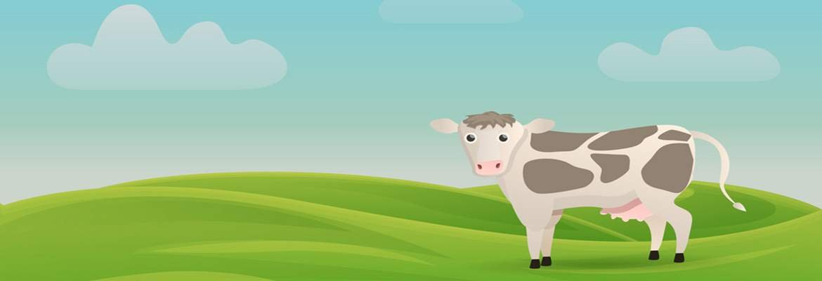 7 Udderlyamazing Facts About Cows