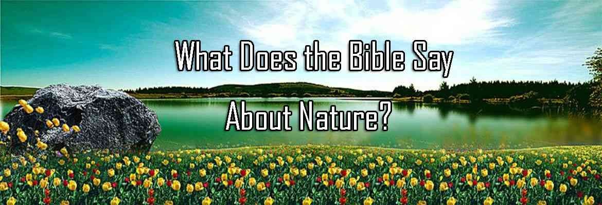 bible verses about nature