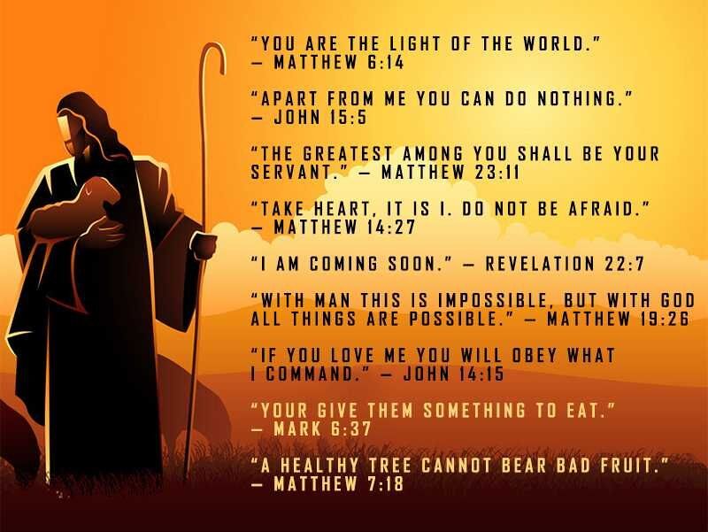 25 Powerful Sayings Of Jesus Life Transforming Words Of The Good Shepherd 25-powerful-sayings-of-jesus-life-transforming-words-of-the-good-shepherd