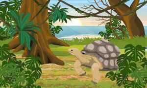 Short Moral Stories | 1 Brilliantly Interesting Tortoise and the Bird Story